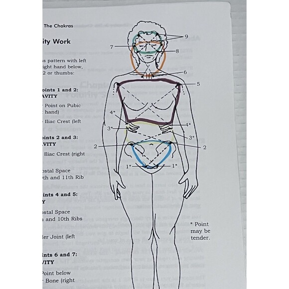 Polarity Therapy Workbook Bringing The Life Force Into The Body Nancy Risley RPP - Picture 5 of 7